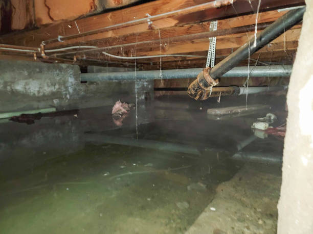 Best Water damage restoration specialists  in Morganville, NJ