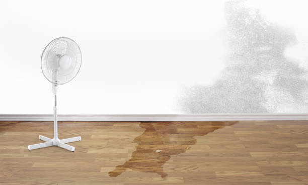 Best Ceiling water damage repair  in Morganville, NJ