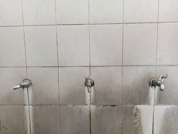 Best Local water damage restoration  in Morganville, NJ