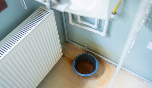 Best Water damage cleanup near me  in Morganville, NJ