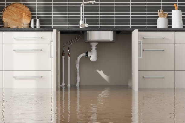 Best Water damage restoration process  in Morganville, NJ