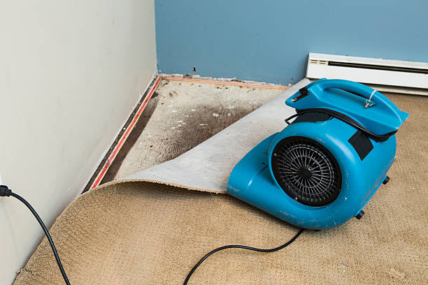 Best 24/7 water damage repair  in Morganville, NJ